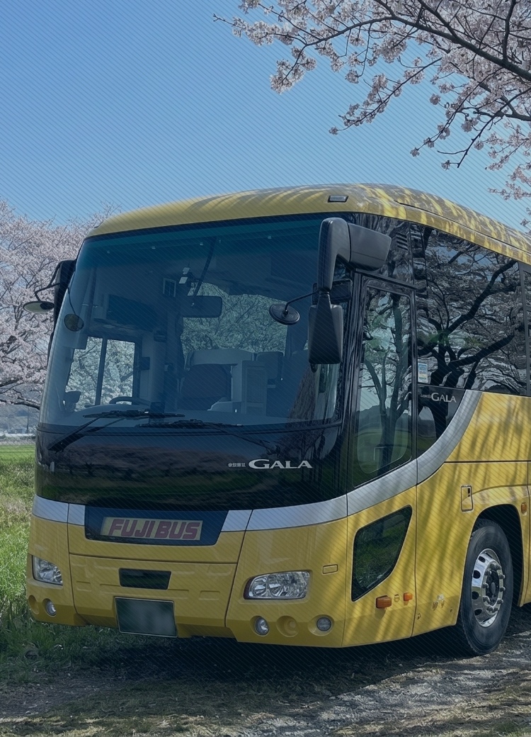 桜並木を走るエフラインバスの大型観光バス